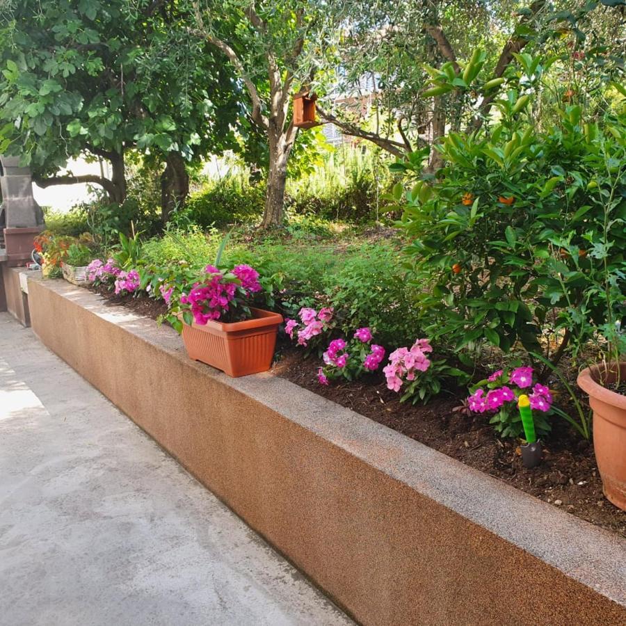 Apartma Lana21 Apartment Koper Luaran gambar